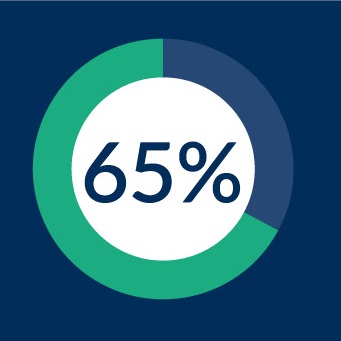 Pie chart demonstrating 65%