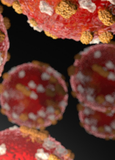 A zoom-in of measles particles