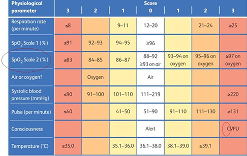 Table showing physiological parameter readings: air, oxygen, pulse, Sp02 levels scale 1 and 2, temperature, consciousness, and respiration rate in red, orange and yellow.